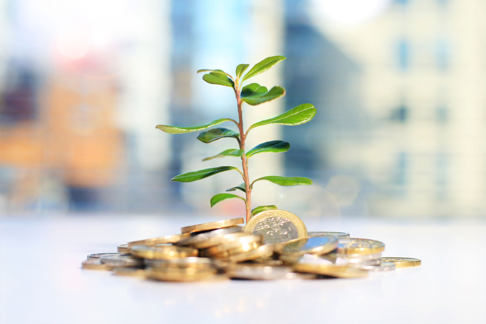 WHY BUY PROPERTY IN AN OPPORTUNITY ZONE?