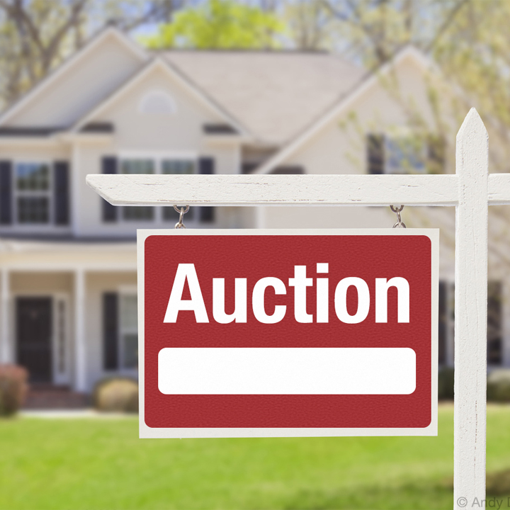 Different Types of Real Estate Auctions